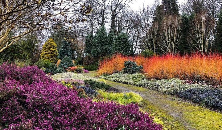 Giardini invernali Winter garden