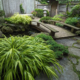 Hakonechloa macra